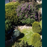 Dom 250m do zamieszkania, działka 31,5ara  Złotniki