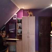 Dom 250m do zamieszkania, działka 31,5ara  Złotniki