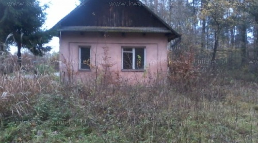 Działka 15,8 ara  domkiem  przy lesie Przecław