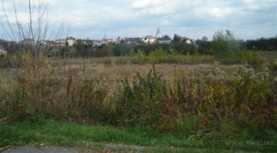 Działka 46,5 ara Stary Mielec
