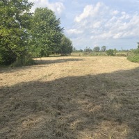 Działka 47,82 ara  przy drodze asfaltowej z budynkiem gospodarczym 62m Wola Mielecka