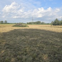 Działka 47,82 ara  przy drodze asfaltowej z budynkiem gospodarczym 62m Wola Mielecka