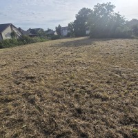 Działka 47,82 ara  przy drodze asfaltowej z budynkiem gospodarczym 62m Wola Mielecka