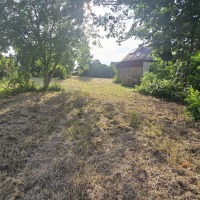 Działka 47,82 ara  przy drodze asfaltowej z budynkiem gospodarczym 62m Wola Mielecka