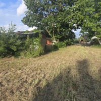 Działka 47,82 ara  przy drodze asfaltowej z budynkiem gospodarczym 62m Wola Mielecka