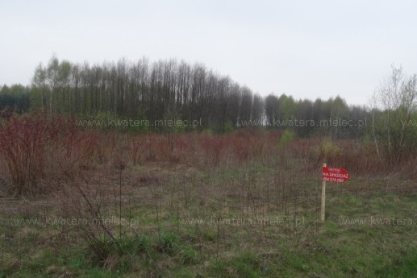 \Działka 75 ar z opcją wydzielenia Przecław