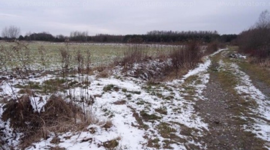 Działki 8ar, 10ar,20ar,30ar z Wz Przecław