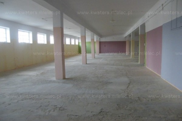 Lokal 300m do wynajęcia  na poziomie -1 Mielec, Wolności