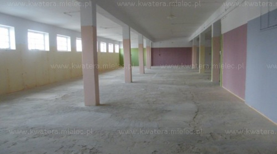 Lokal 300m do wynajęcia  na poziomie -1 Mielec, Wolności